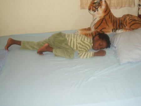 Mon p'ti loup dort grave ek son tigre de garde